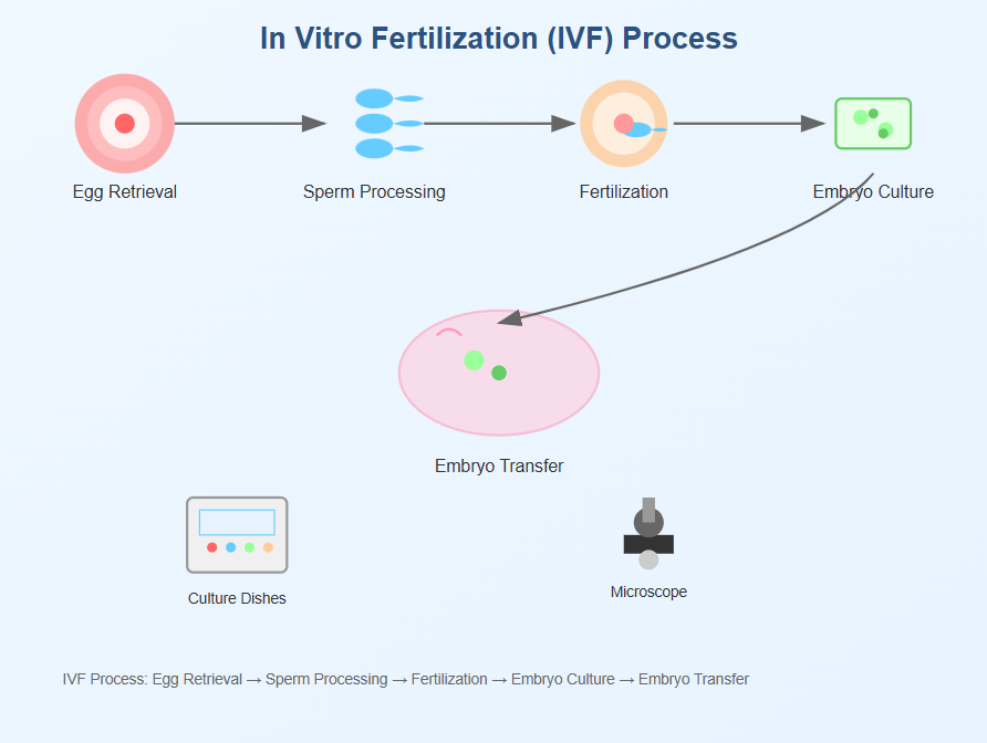 Who Works in Assisted Reproductive Technology? Key Roles in Fertility Clinics