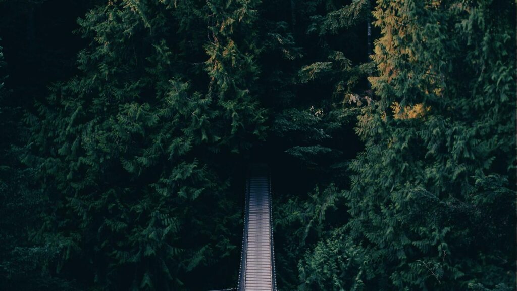 Ai Financial Planning Cash Flow Forecast