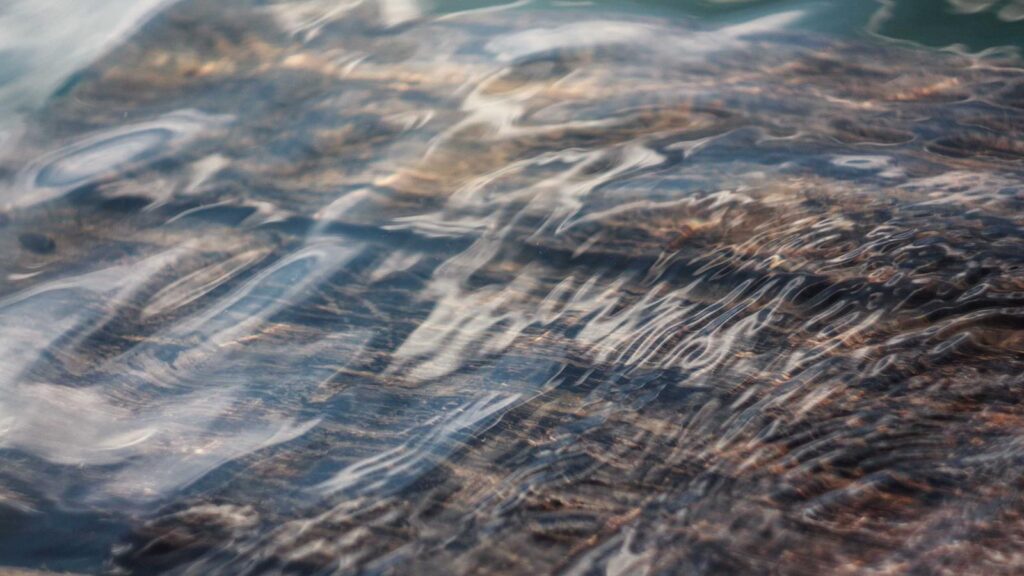 Ai For Small Business 30 Day Plan