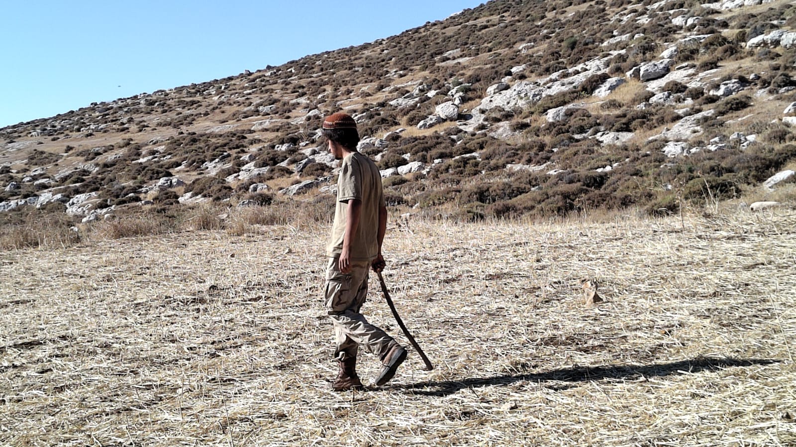 An Israeli settler from the “Hilltop Youth” movement on land belonging to a Palestinian from Mukhmas, in the occupied West Bank, June 2, 2024. (Photo: מסתכלים לכיבוש בעיניים / CC BY 4.0 via Wikimedia Commons)