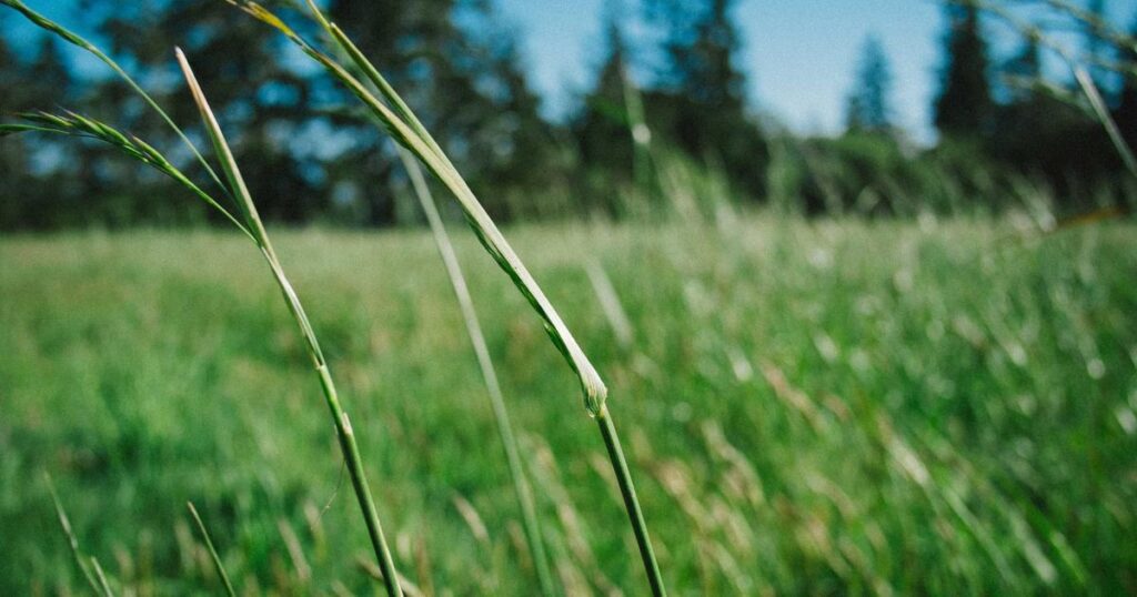 2026’s Multimodal AI Assistants: What’s New and What It Means Globally