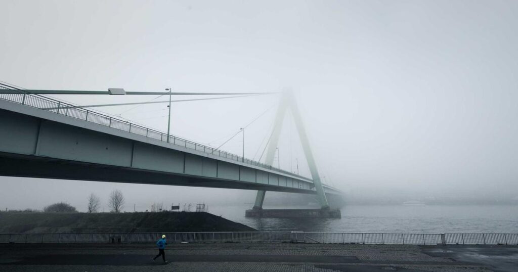 Global Business Strategy in 2026: Winning with Resilience, Data, and Customer Trust