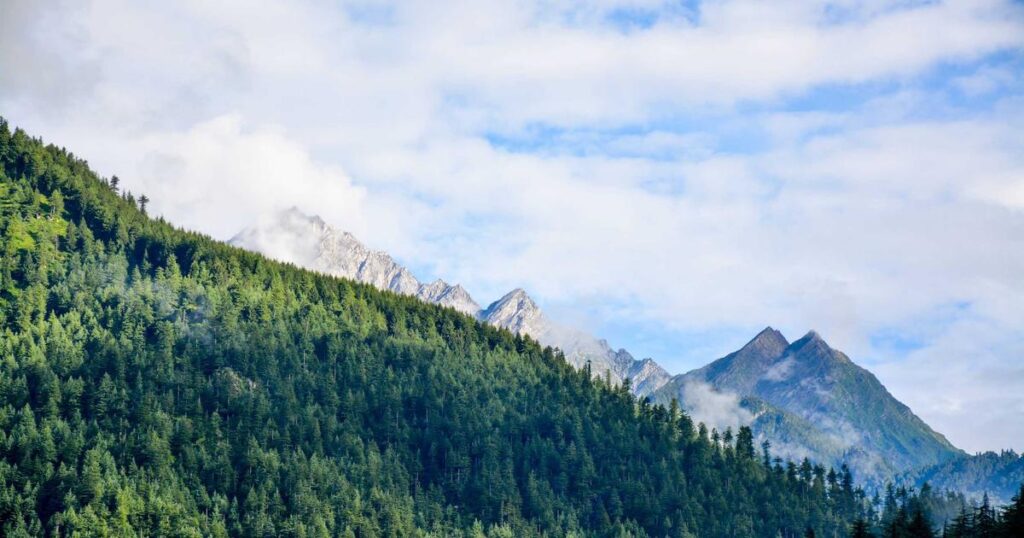 AI Latest News 2026: What Business Leaders Need to Know Right Now