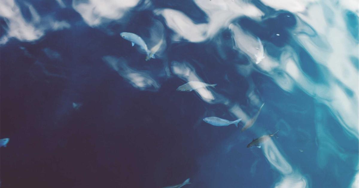 The Cross-Border Ecommerce Expansion Playbook for Global Brands