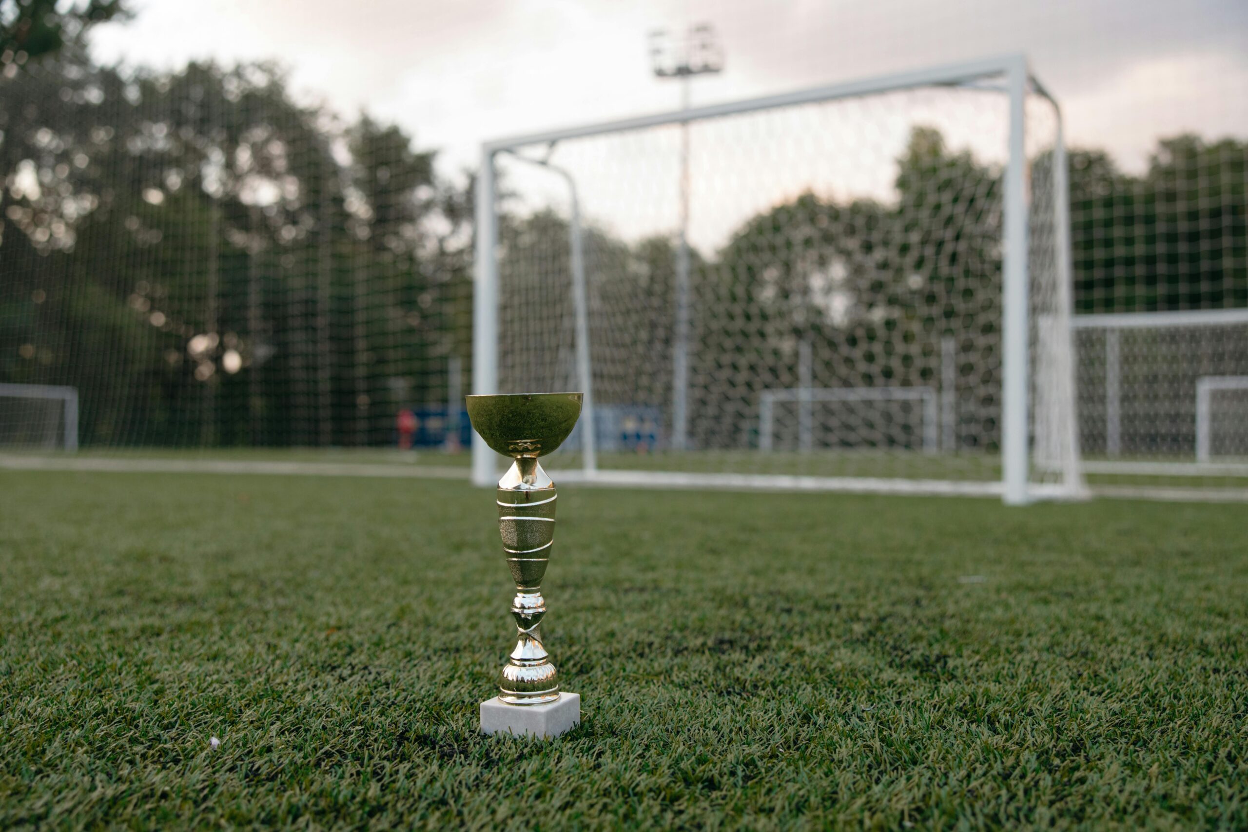 A golden trophy placed on green grass near a soccer goal, symbolizing victory.